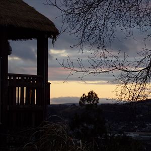 Giraffe enclosure and view 27.12.24