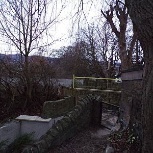 Future capybara enclosure 27.12.24