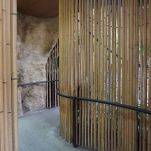 Apr. 2025 - Borneo - Three Exhibit