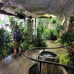 Apr. 2025 - Entrance Queue + Zoochatter