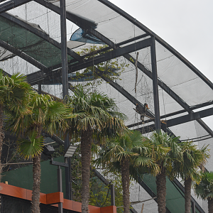 Apr. 2025 - Exhibits from the Parking Lot