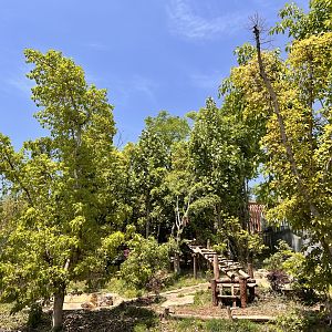 Example of Giant Panda Exhibit
