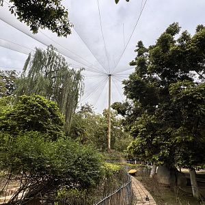 General Overview of the Aviary