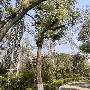 State of the Aviary as of March 2025