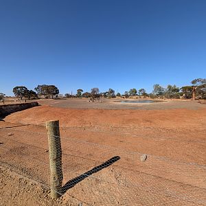 Elephant 'Cloverleaf' Enclosure