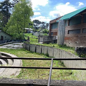 Former African elephant exhibit-09/2023