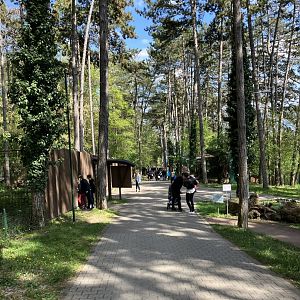 General view-09/2023