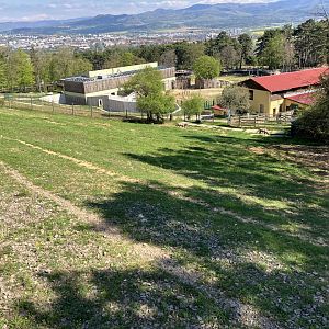 Gemsbok paddock-09/2023