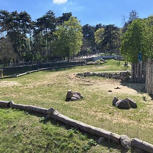 African elephant enclosure-09/2023