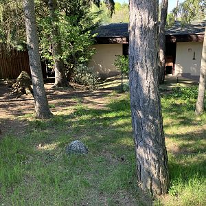 Kirk’s dik-dik exhibit-09/2023