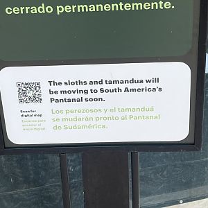 Sloth/Tamandua sign