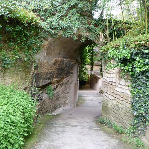 Road thorwards lower level of the zoo -Bioparc de Doué la Fontaine (2025)