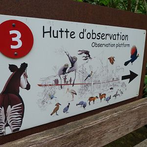 Sign within "Le Sanctuaire des okapis" -Bioparc de Doué la Fontaine (2025)