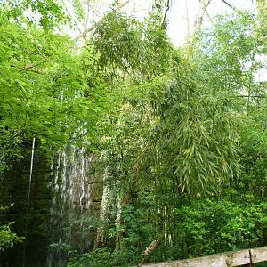 "Le Sanctuaire des okapis" view -Bioparc de Doué la Fontaine (2025)
