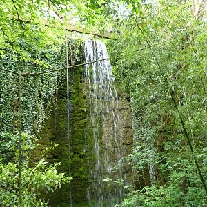 Waterfall -Bioparc de Doué la Fontaine (2025)