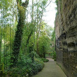 View from red panda exhibit -Bioparc de Doué la Fontaine (2025)