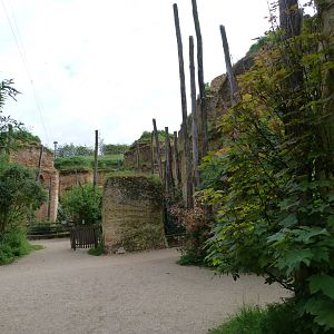 South American aviary view -Bioparc de Doué la Fontaine (2025)
