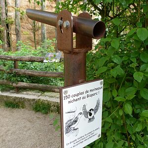 Nature peephole -Bioparc de Doué la Fontaine (2025)