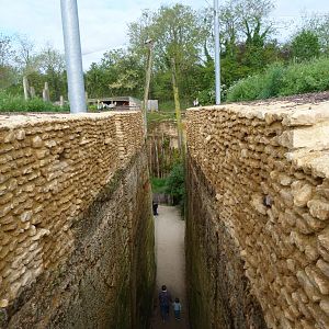 South American aviary view -Bioparc de Doué la Fontaine (2025)