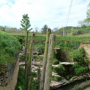 Humboldt penguin exhibit view -Bioparc de Doué la Fontaine (2025)