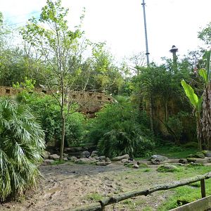 European aviary view -Bioparc de Doué la Fontaine (2025)