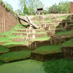 Tajik markhor exhibit lower view -Bioparc de Doué la Fontaine (2025)