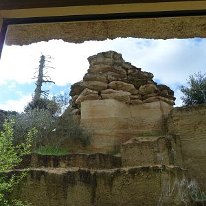 Snow leopard exhibit lower view -Bioparc de Doué la Fontaine (2025)
