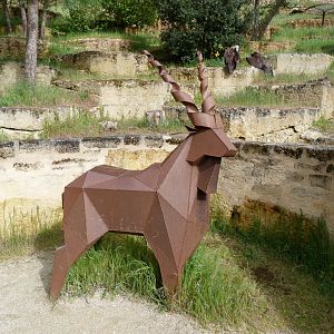 Decorative markhor -Bioparc de Doué la Fontaine (2025)