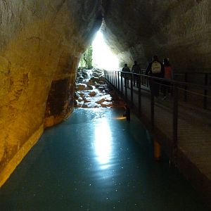 Tunnel to the okapi aviary -Bioparc de Doué la Fontaine (2025)