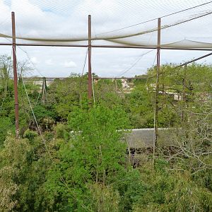 Upper view of "Le Sanctuaire des okapis" -Bioparc de Doué la Fontaine (2025)