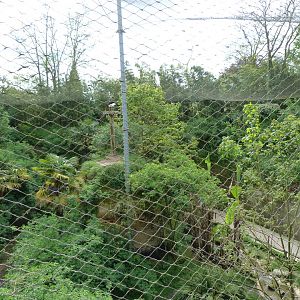 Upper view of the European aviary -Bioparc de Doué la Fontaine (2025)