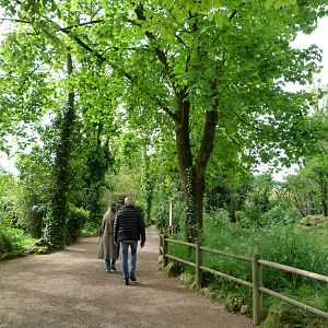 Primate island area -Bioparc de Doué la Fontaine (2025)