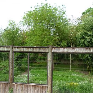 Sumatran tiger exhibit -Bioparc de Doué la Fontaine (2025)