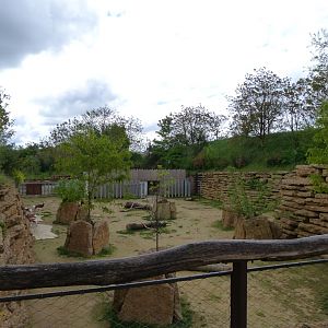Mhorr gazelle exhibit -Bioparc de Doué la Fontaine (2025)