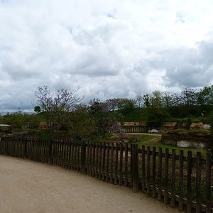 Eastern black rhinoceros, Mhorr gazelle and Helmeted guineafowl exhibit -Bioparc de Doué la Fontaine (2025)