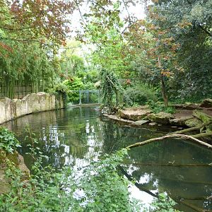 Giant otter exhibit -Bioparc de Doué la Fontaine (2025)