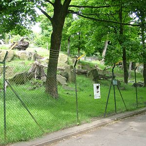 Musk Deer and Goral enclosure at Edinburgh Zoo 2008