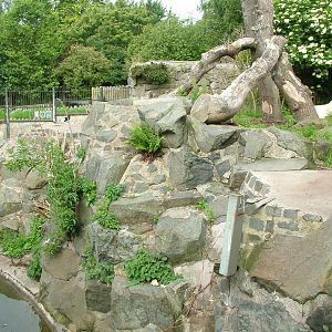 Polar Bear enclosure at Edinburgh Zoo 2008