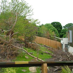 Living Links Primate Research Centre at Edinburgh Zoo 2008