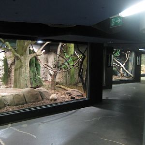 Nocturnal house at "Day"