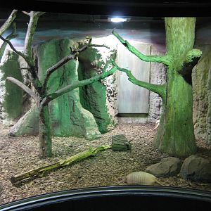 South american exhibit in the nocturnal house