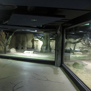 Africa Exhibit