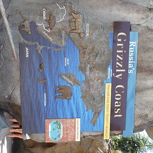Russia's Grizzly Coast - Minnesota Zoo