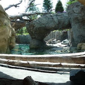 Russia's Grizzly Coast - Minnesota Zoo