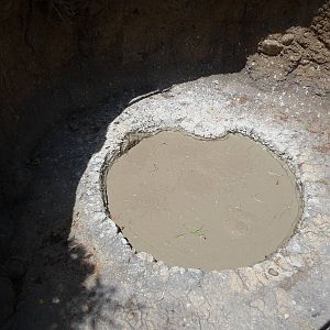 Russia's Grizzly Coast - Minnesota Zoo