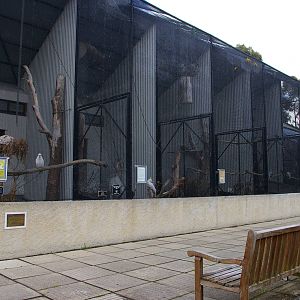 aviaries at Dunedin Botanic Gardens, NZ
