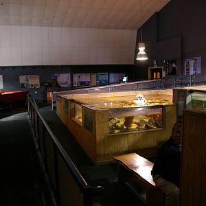 Picton Aquarium