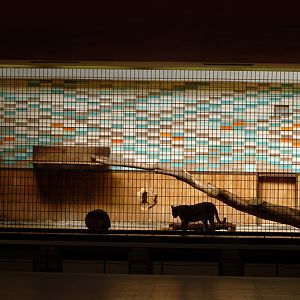 Alfred-Brehm-House 2