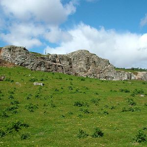 Goral enclosure at Highland Wildlife Park 2008