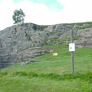 Markhor and Bharal enclosure at Highland Wildlife Park 2008